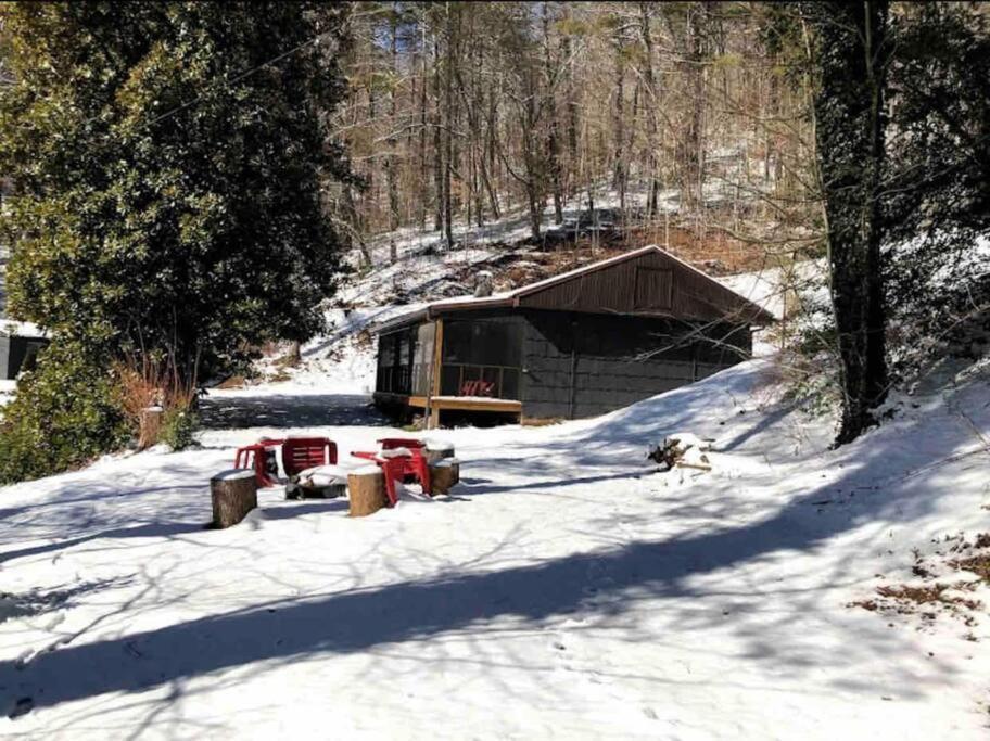 Cabin At The Cove At Watauga Lake Butler Екстер'єр фото