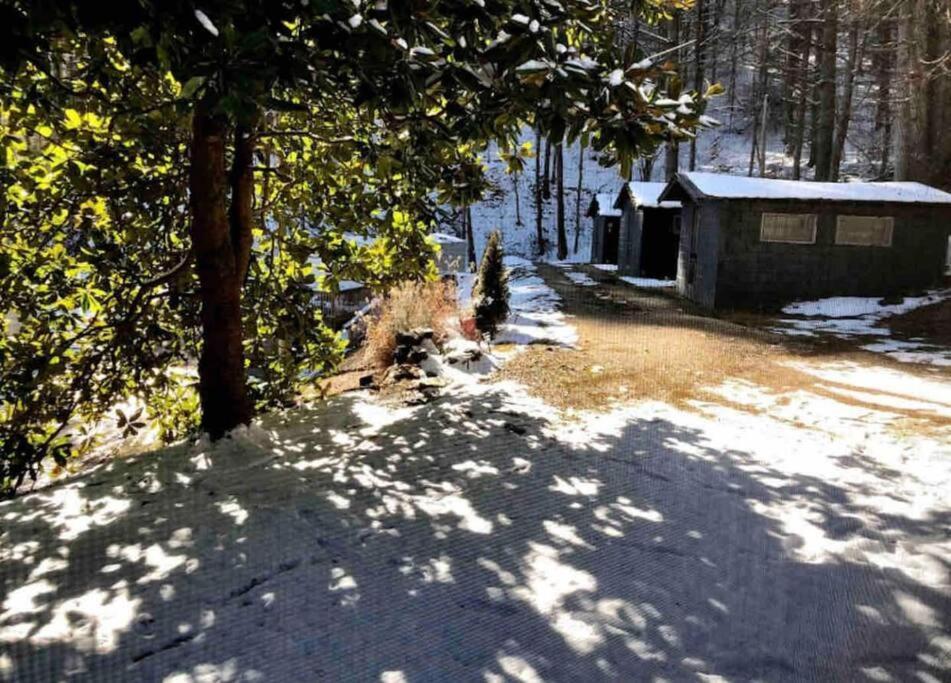 Cabin At The Cove At Watauga Lake Butler Екстер'єр фото